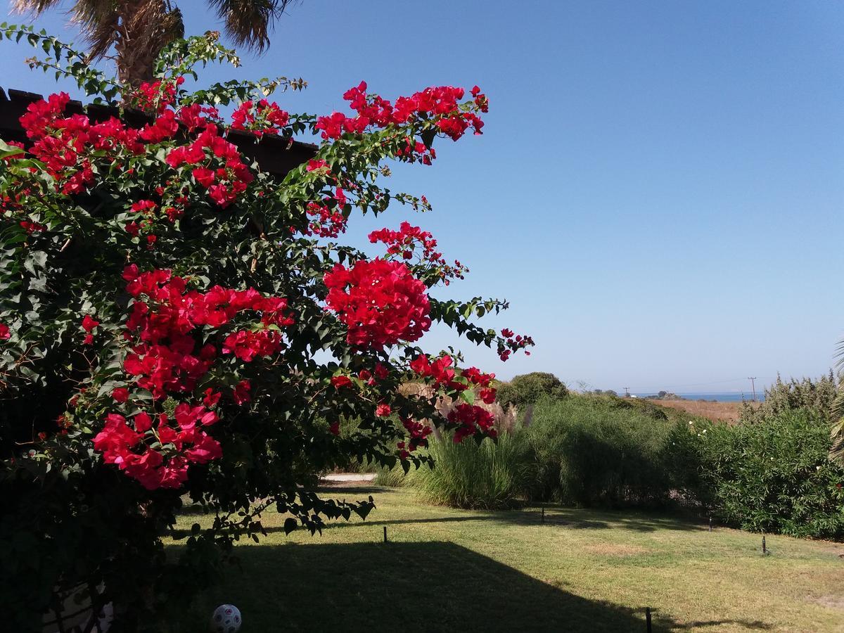 Villa Kos Mastichari  Exterior photo